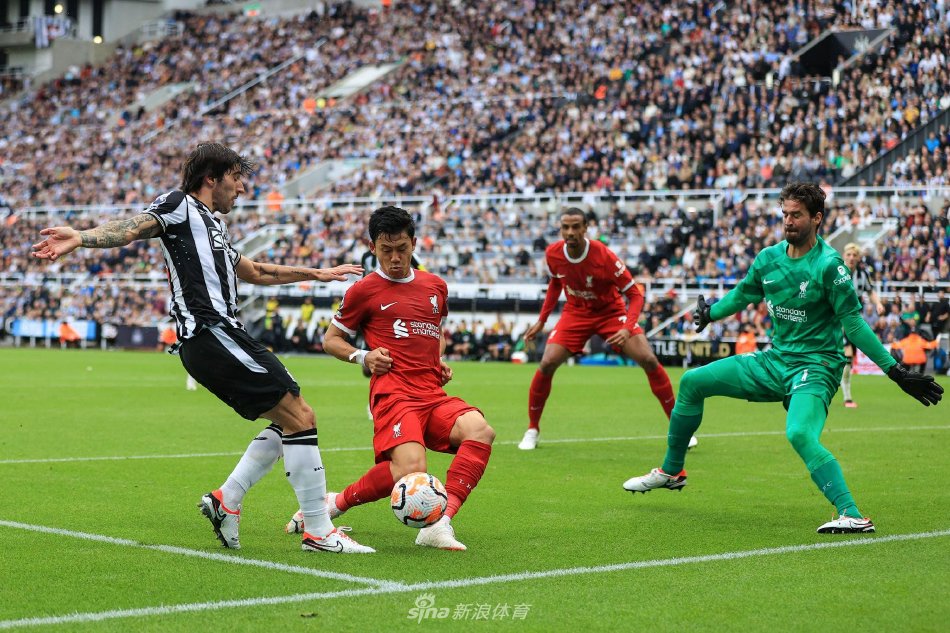 向对方提出 向对方提出